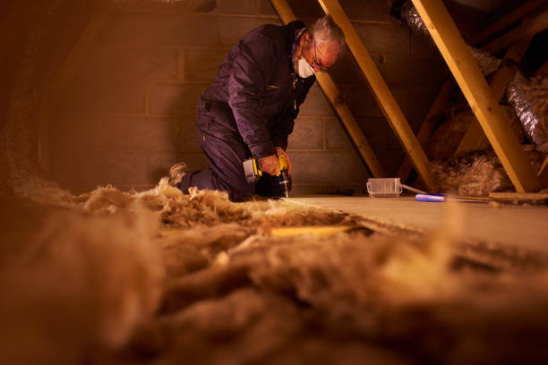 Best Insulation Maintenance and Repair in Jefferson, OH