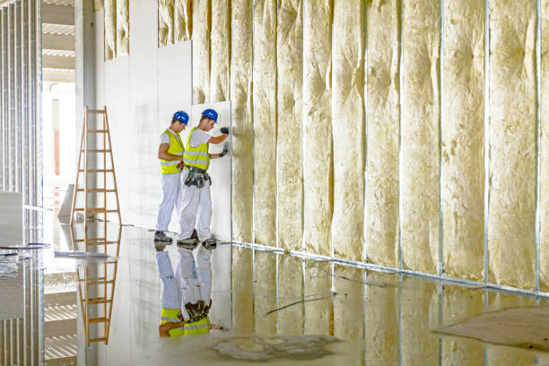 Best Eco-Friendly Insulation in Jefferson, OH